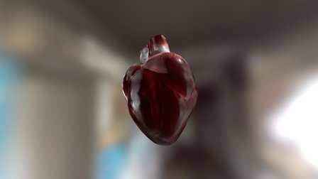 Heart 3D Model