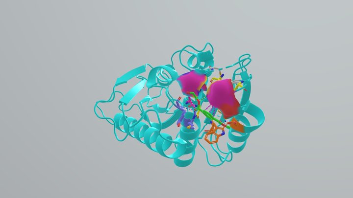 PETase 3D Model