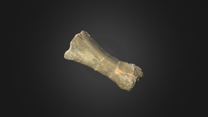 Metatarso titanosaurio 3D Model