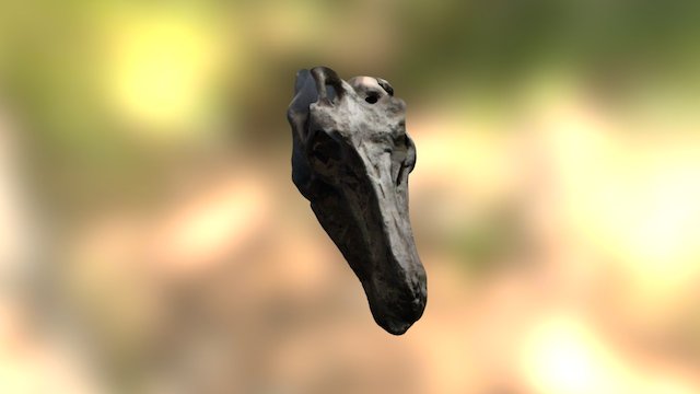 Head from a Iguandon bernissartensis 3D Model