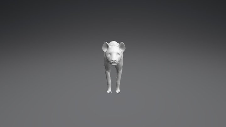 Spotted Hyena Model 3D Model