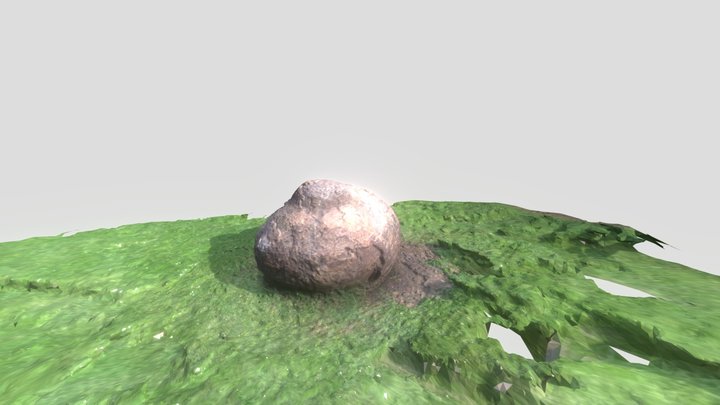 roca jardín botánico Bogotá 3D Model