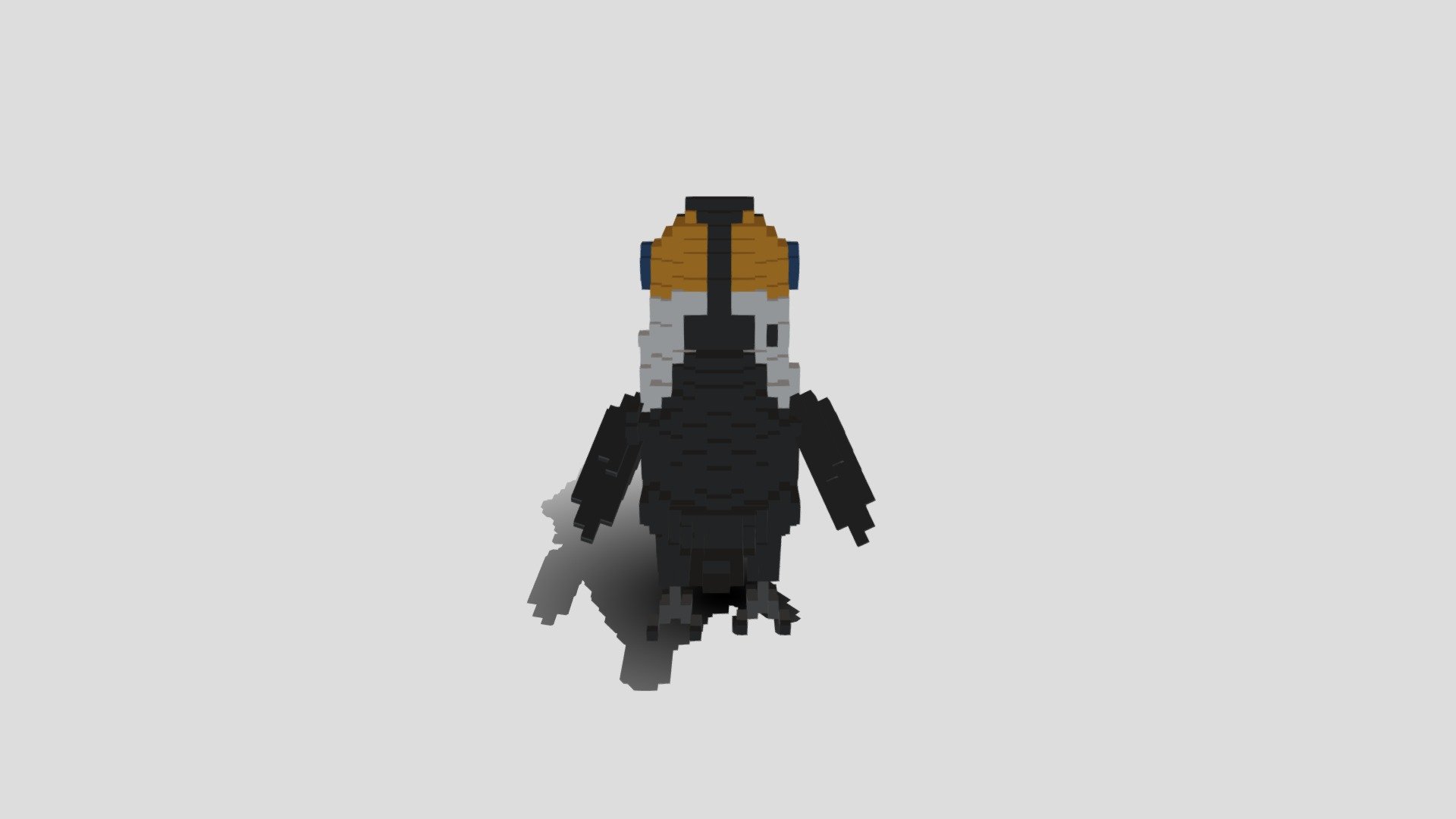 Toucan_Bird_Walking