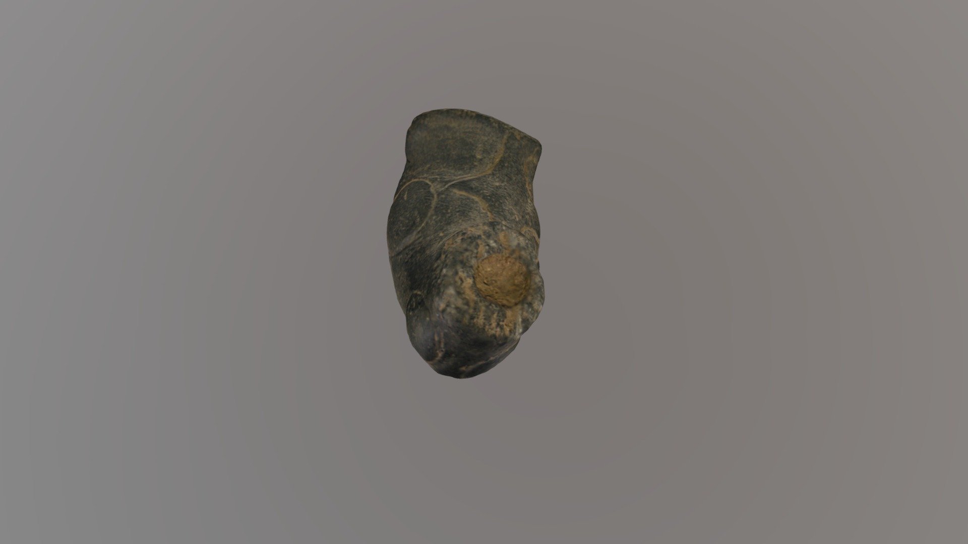 Soapstone Pipe 3D model by Warren Wilson College Archaeology Lab
