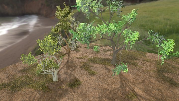 Simple pack of trees [Low-Poly] Asset 3D Model