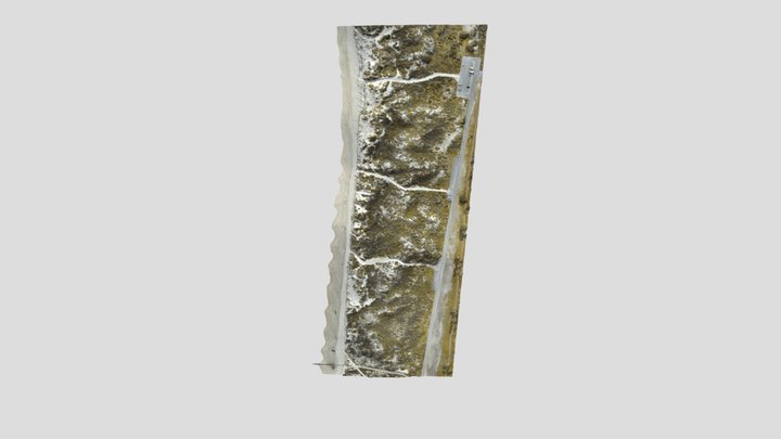 Floreat Beach - flight-3 3d Mesh - Aug 2021 3D Model