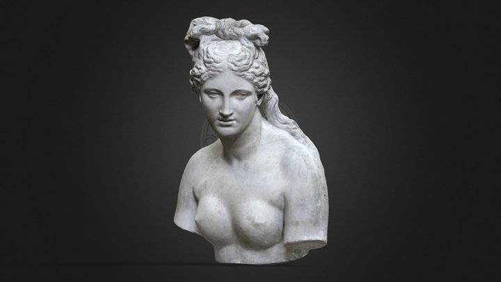 AFRODITE CAPITOLINA 3D Model