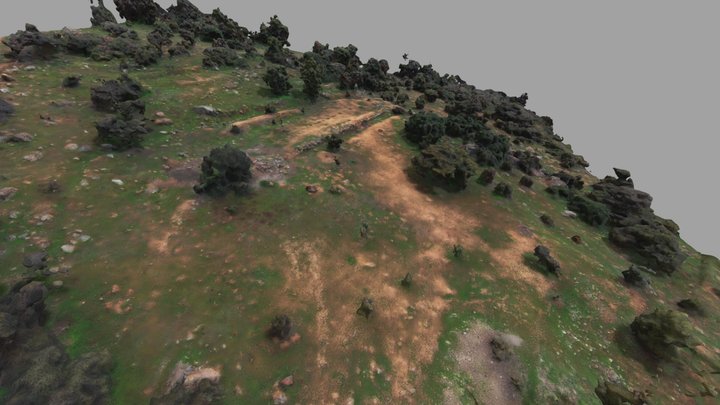 Terrazas Prehispanicas - Zona Altos De Chicauma 3D Model