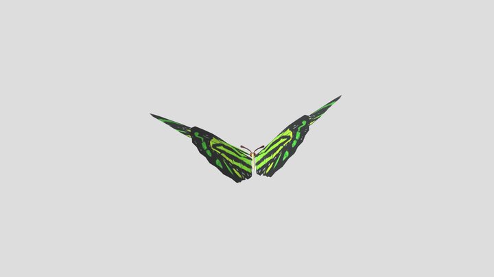 batterfly 3D Model