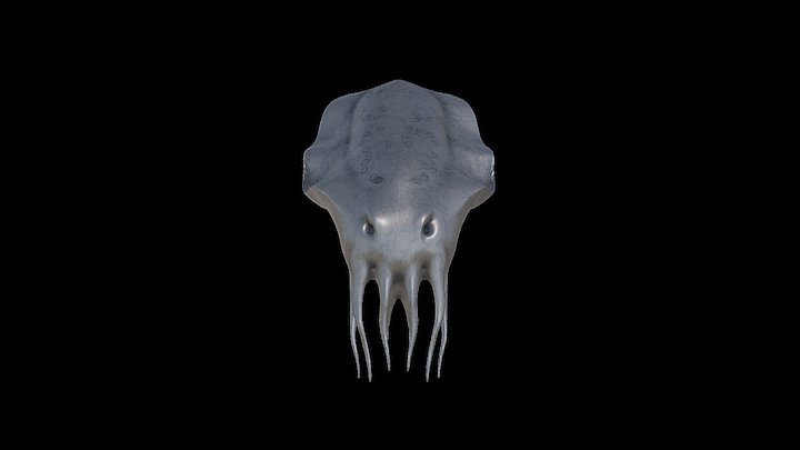 Cuttle 3D Model