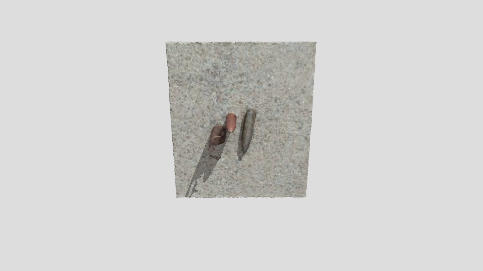 Max Bullets Model 5