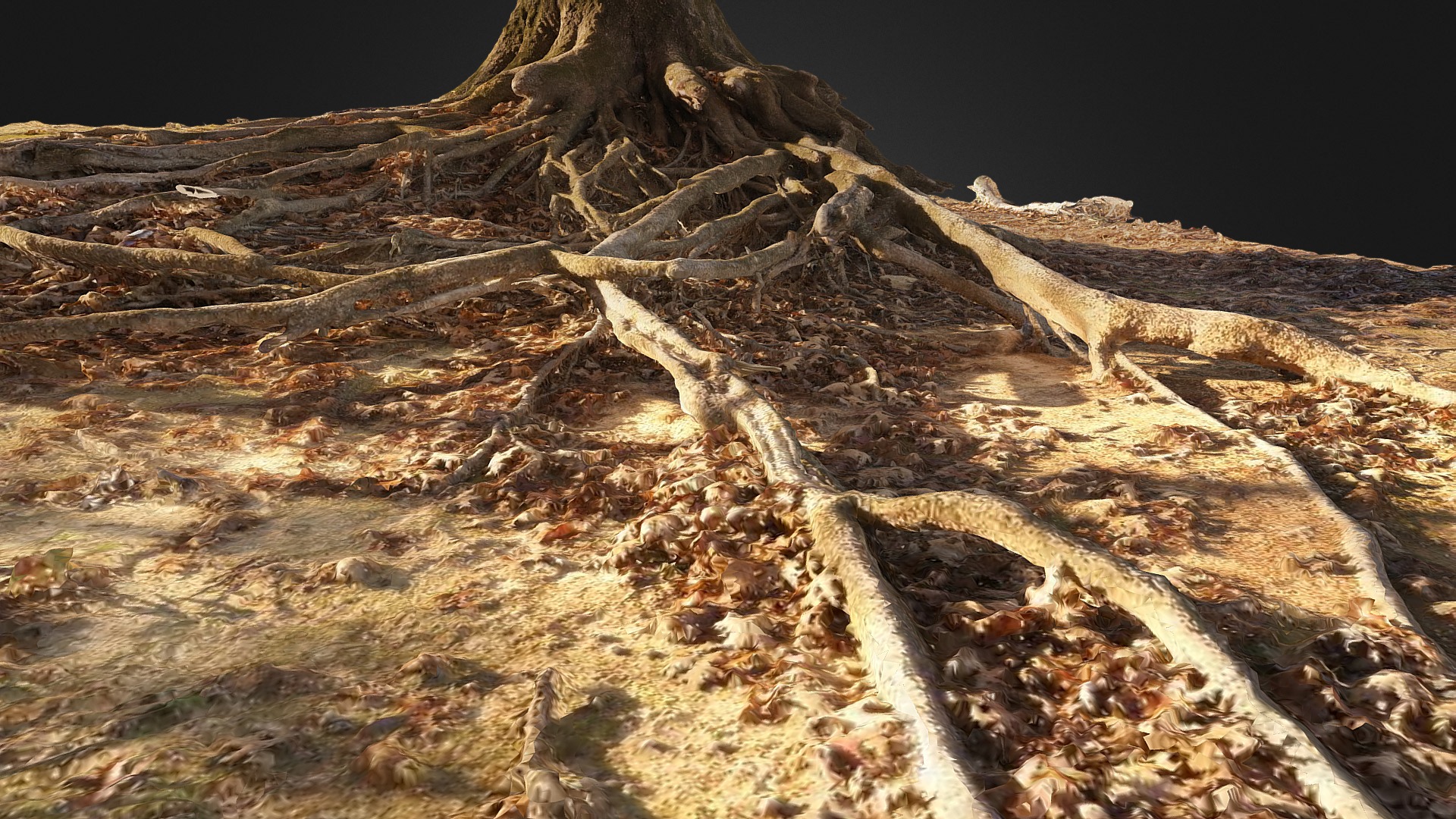 3D model Tree roots - This is a 3D model of the Tree roots. The 3D model is about a large pile of dirt.