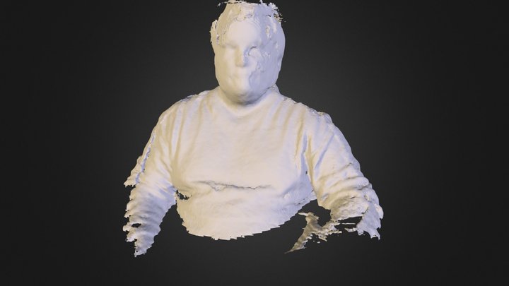 dallo3d.ply 3D Model