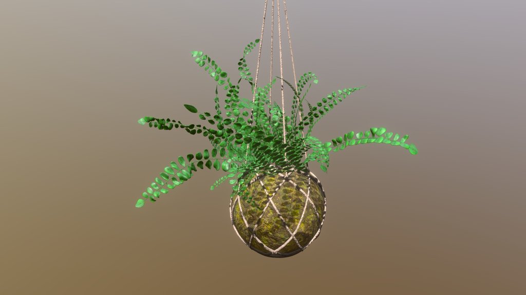 Hanging plants A 3D model collection by Inwardout Studio (Inwardoutstudio) Sketchfab