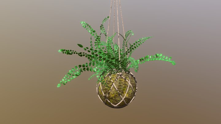 Indoor plant /// Kokedama and Lemon Button Fern 3D Model