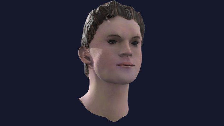 Tom Holland Head Bust 3D Model