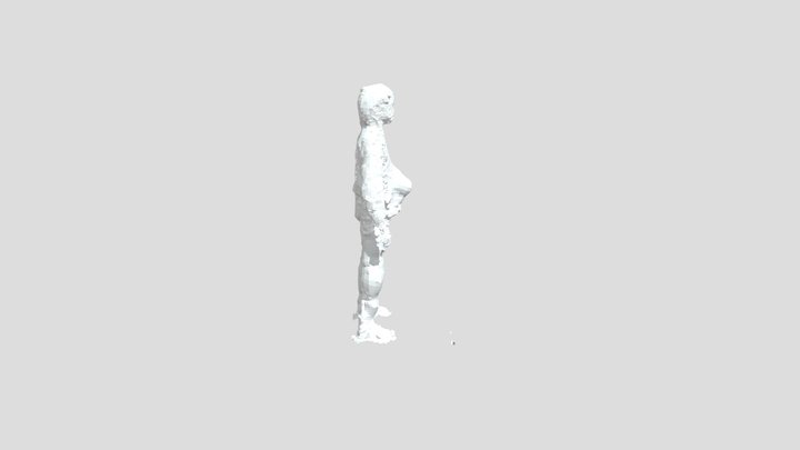 stepa 3d 3D Model