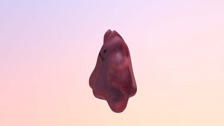 Ditto 3D Model