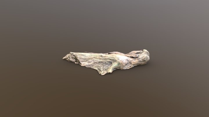 Rotten Bald Cypress Knee - Retopologized – Modèle 3D gratuit STL