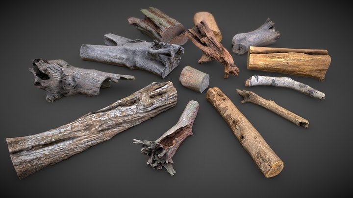 13 Tree Logs, an Environmental 3D Model by Beatheart Creative Studio (Thumbnail 1 of 37)