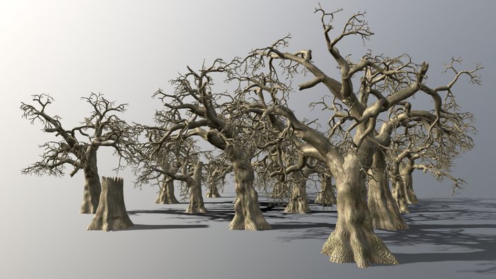 Oak Forest - 16 Oaks Pack (very high-Poly) – Modello 3D gratuito STL