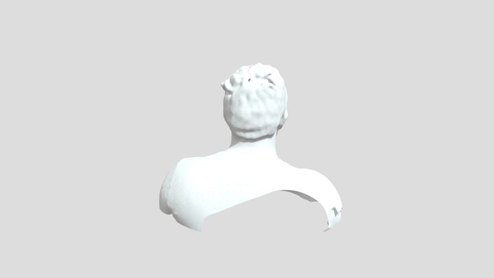 Scanning Myself 3D Model
