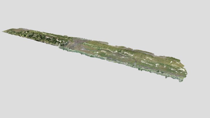 Flagler Restoration: North Peninsula 3D Model