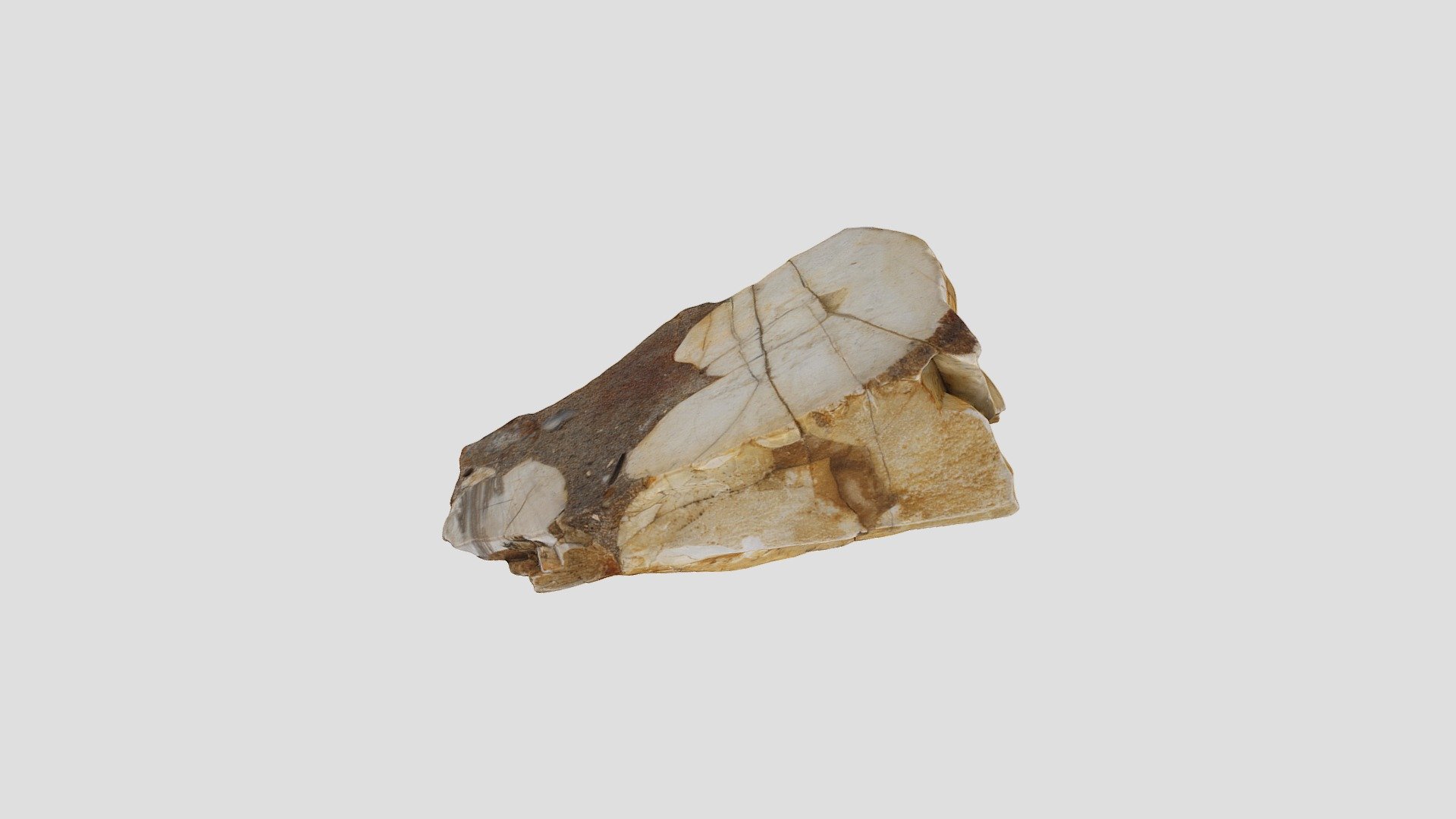 Sedimentary Sample