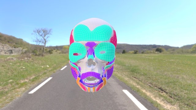facial muscle acquired from real data 3D Model