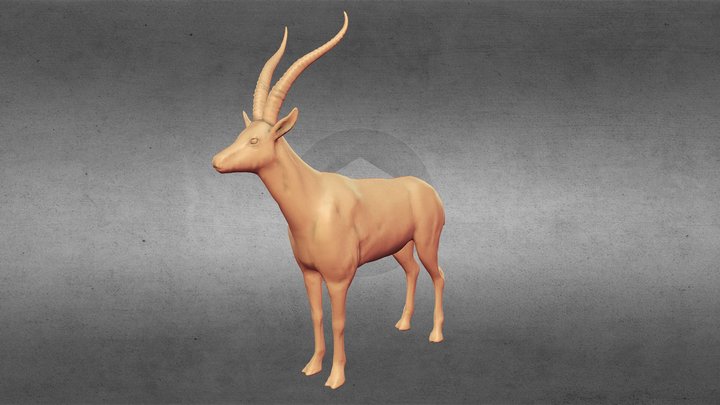 Gazelle 3D Model