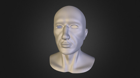 Natural Head Retopology 3D Model