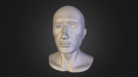 Natural Head Retopology 3D Model