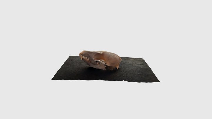 Fox-Thuwal area 3D Model