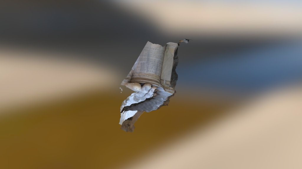Foot