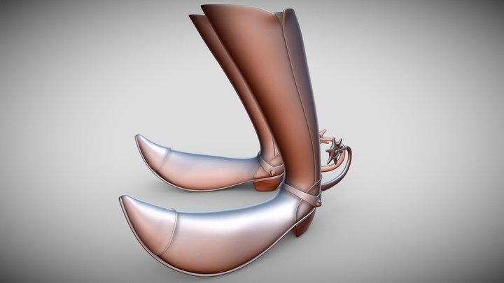 Cowboy Boots