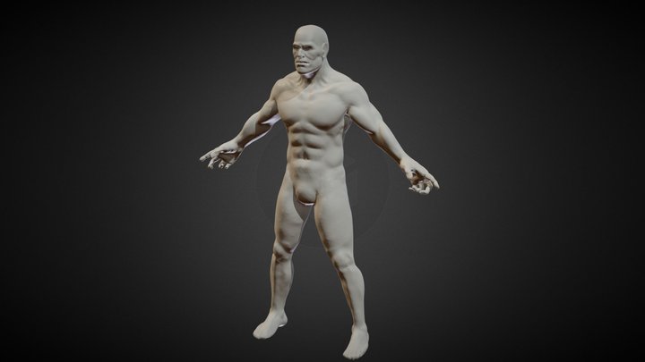 anatomy speedrun 3D Model