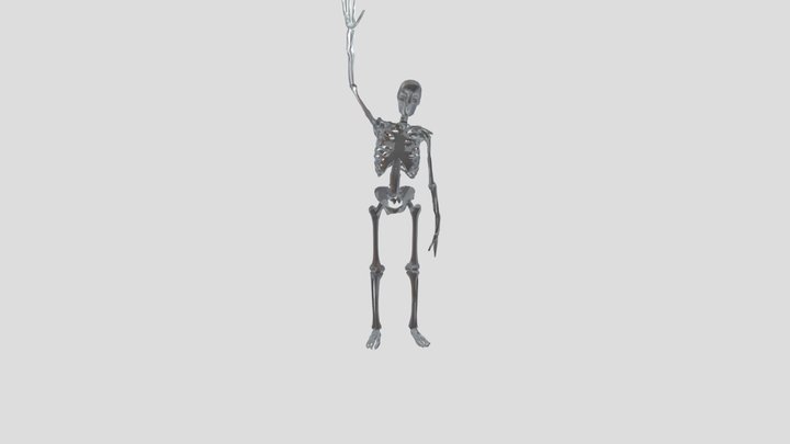 Mr Skely 3D Model