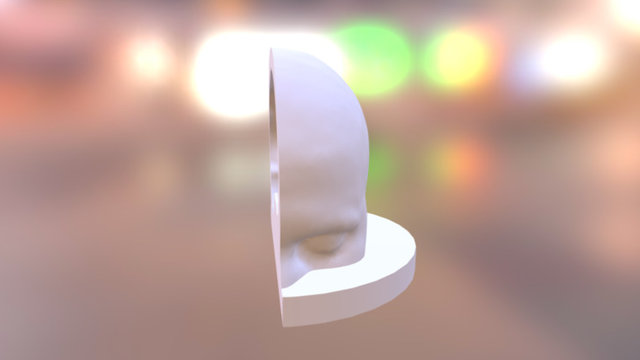 Skin Cleaned 3D Model