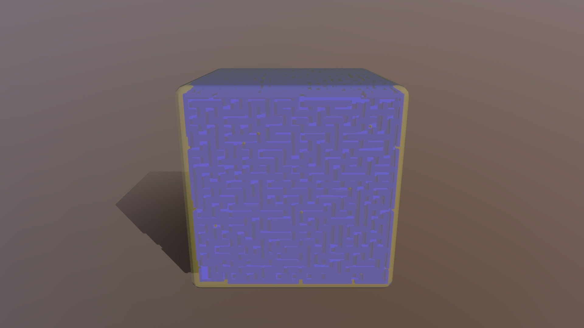 Maze Toy