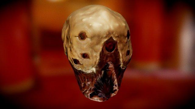 Test-OokyFace LowPoly 3D Model
