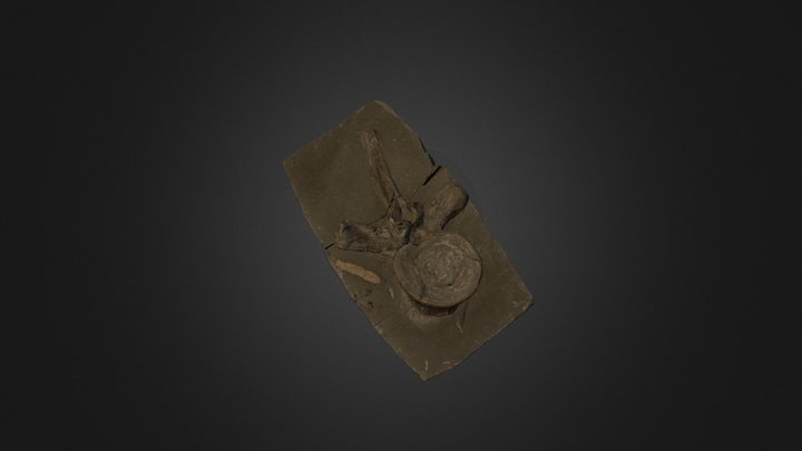GSM 40 3D Model