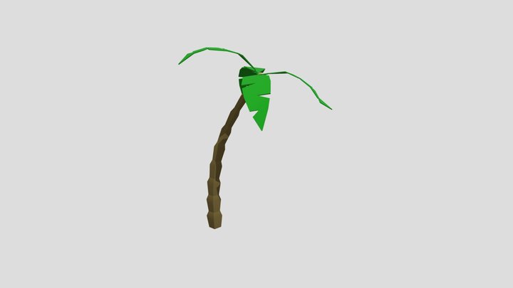 Low Poly Coconut Tree
