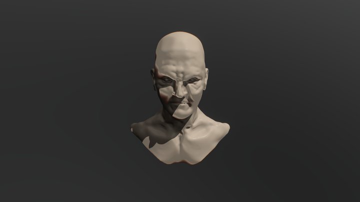 Human face study 3D Model