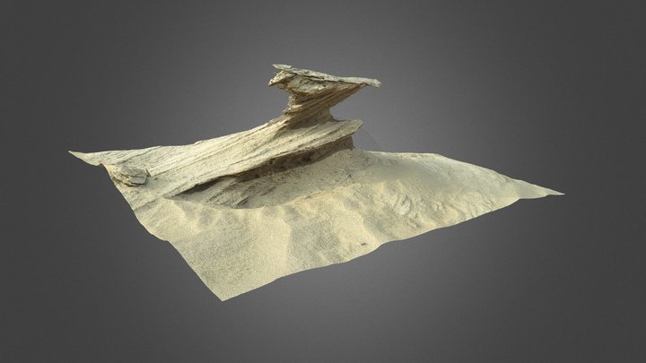 Fossil Dune 3D Model