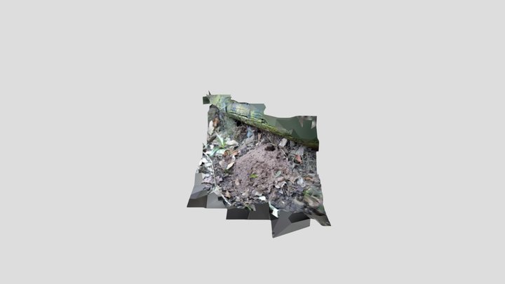 Mouse hole 2 3D Model
