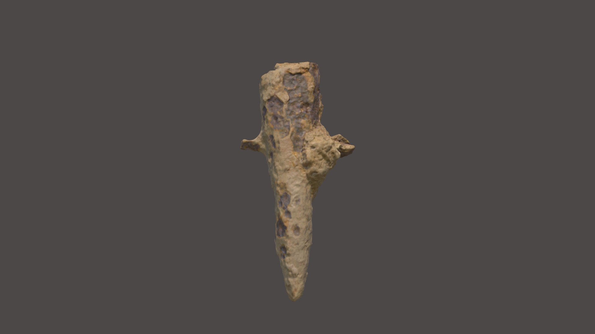 ROI051-062-01