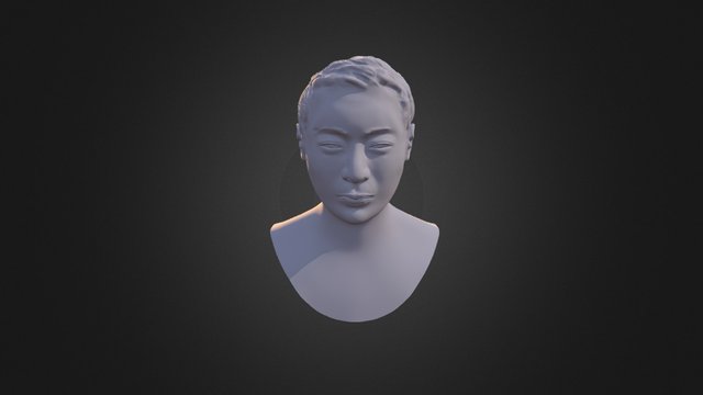 Bust sculpt 3D Model
