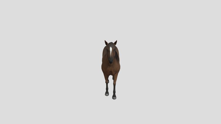 Horse 3D Model