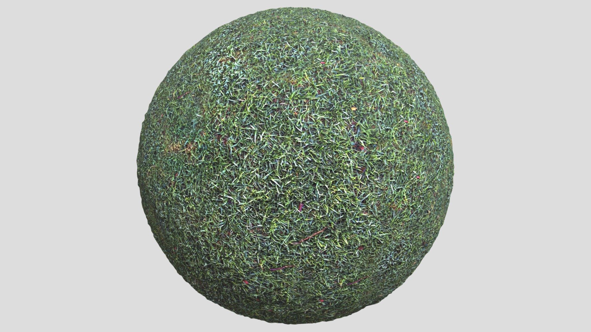 Grass03
