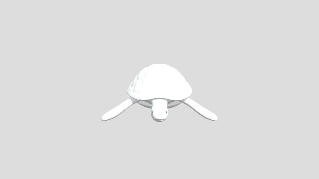Elongated Tortoise